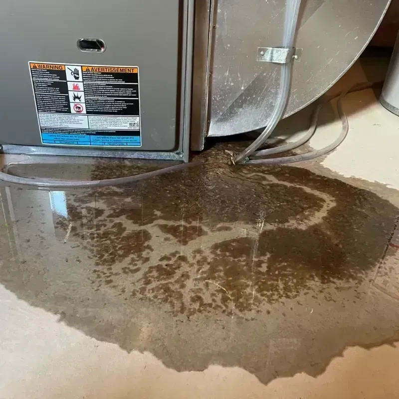 Appliance Leak Cleanup in Lyons, CO